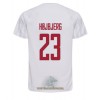 Officiële Voetbalshirt Denemarken Pierre-Emile Hojbjerg 23 Uit WK 2022 - Heren